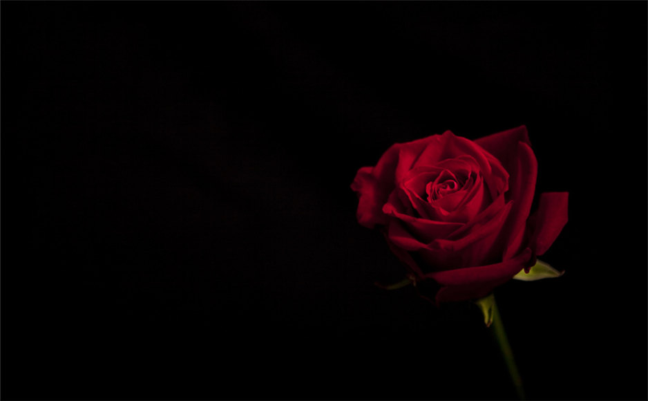 坚信的总会成功