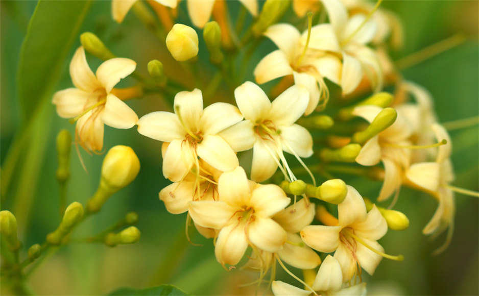 一个频频回头的人是走不了远路的