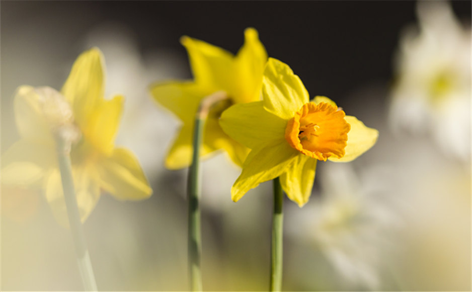 记住不要依赖梦想而忘记生活