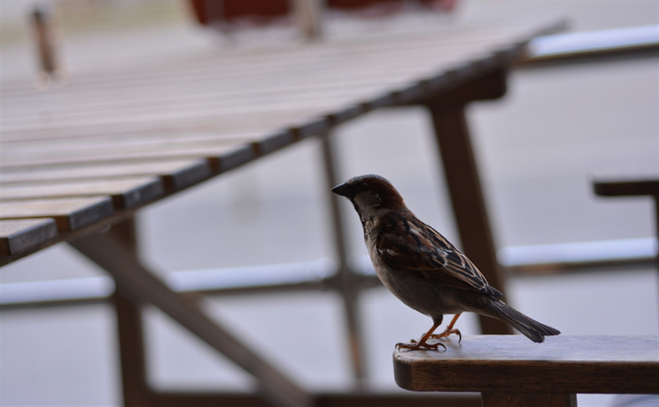 真相是一种美丽又可怕的东西需要格外谨慎地对待